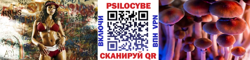 Галлюциногенные грибы Psilocybe цена наркотик hydra зеркало Каневская